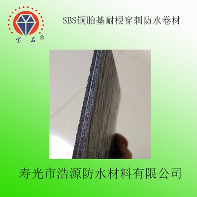 廠家 直銷寶石牌 SBS銅胎基耐根穿刺防水卷材 建筑防水專用 -25&deg;C聚酯胎 厚度4mm 國標 sbs防水卷材圖片_高清圖_細節圖