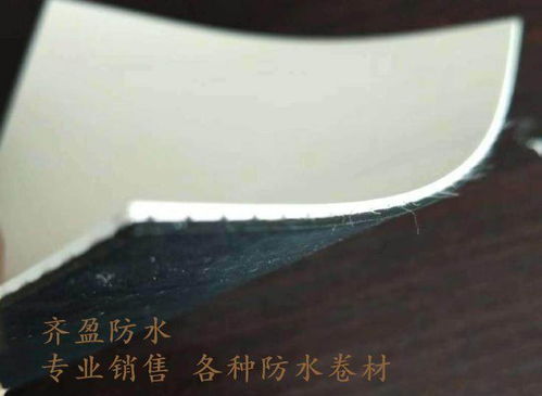 歡迎咨詢 遼寧 app改性瀝青防水卷材 價格