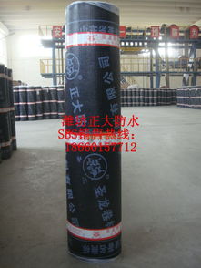 濰坊廠家供應圣龍牌SBS防水卷材 高品質(zhì)聚酯胎材料助力河南建筑防水