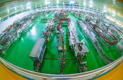 技術(shù)研發(fā)引領(lǐng)高質(zhì)量發(fā)展 勁牌公司的創(chuàng)新實(shí)踐